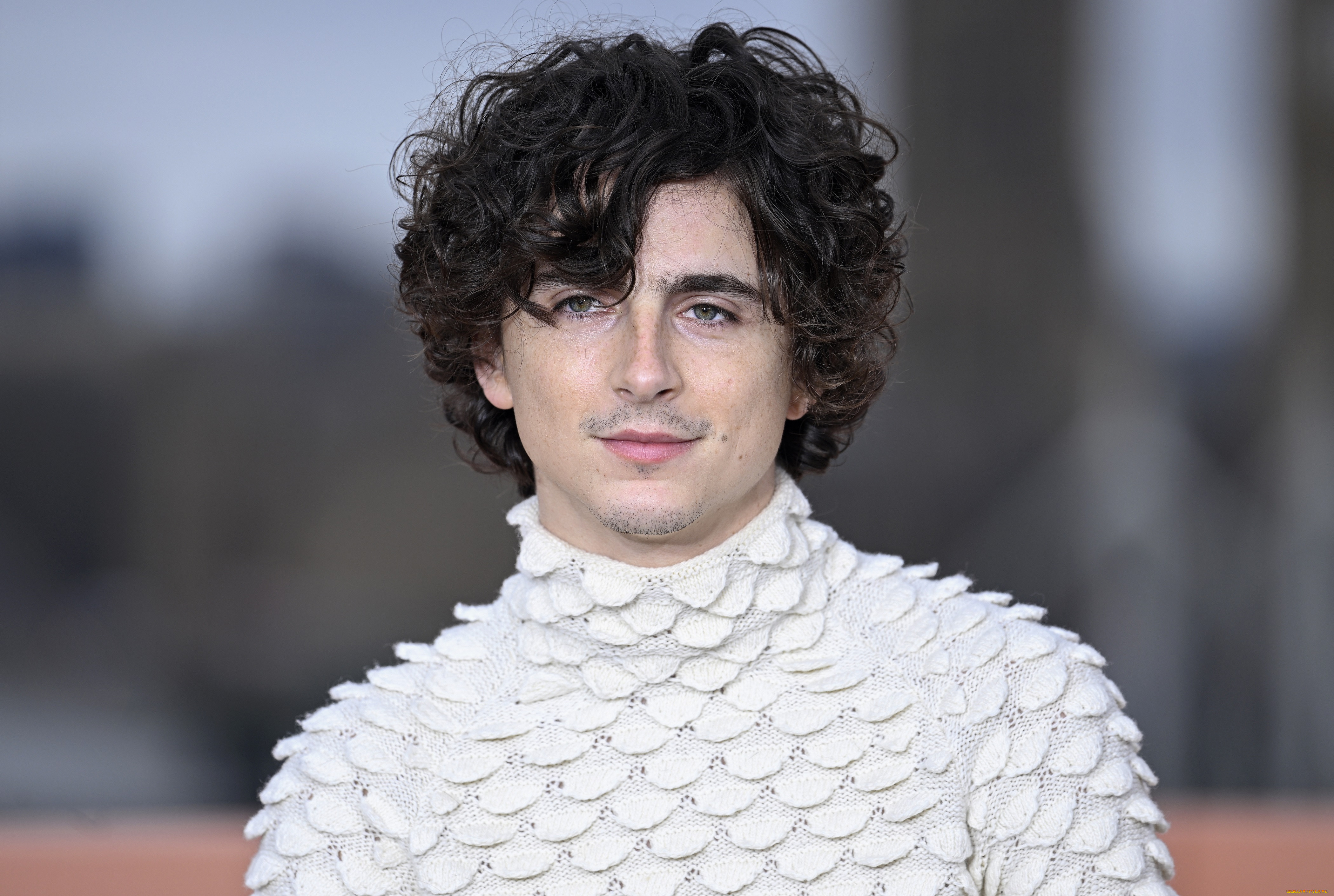 , timothee chalamet, , 